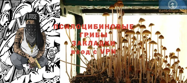 дурь Балахна