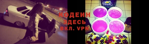 крисы Аркадак